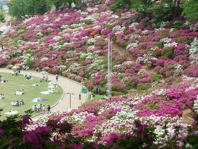 Nishiyama park